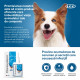 Clorexyderm Oto Piu solutie otica, caini si pisici, 150 ml